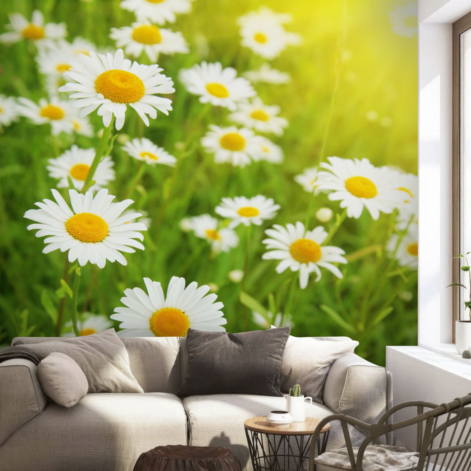 Фотошпалери поле білосніжних ромашок у зелені