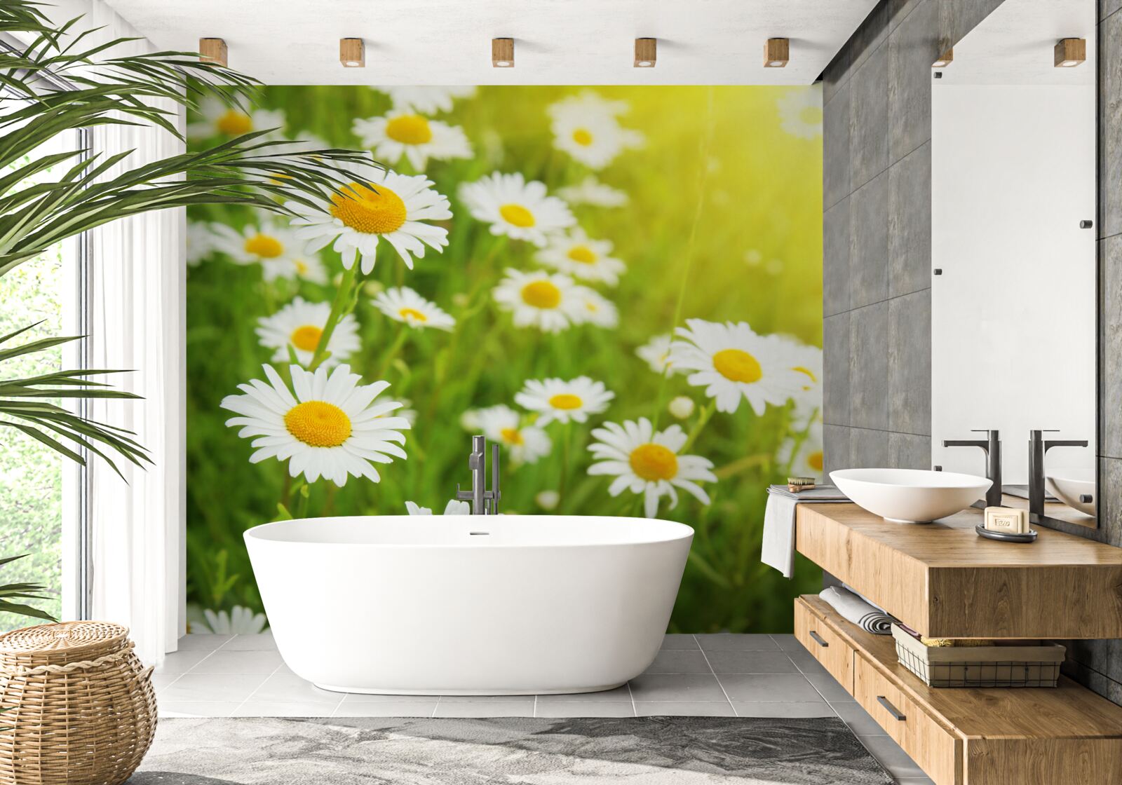 Фотошпалери поле білосніжних ромашок у зелені