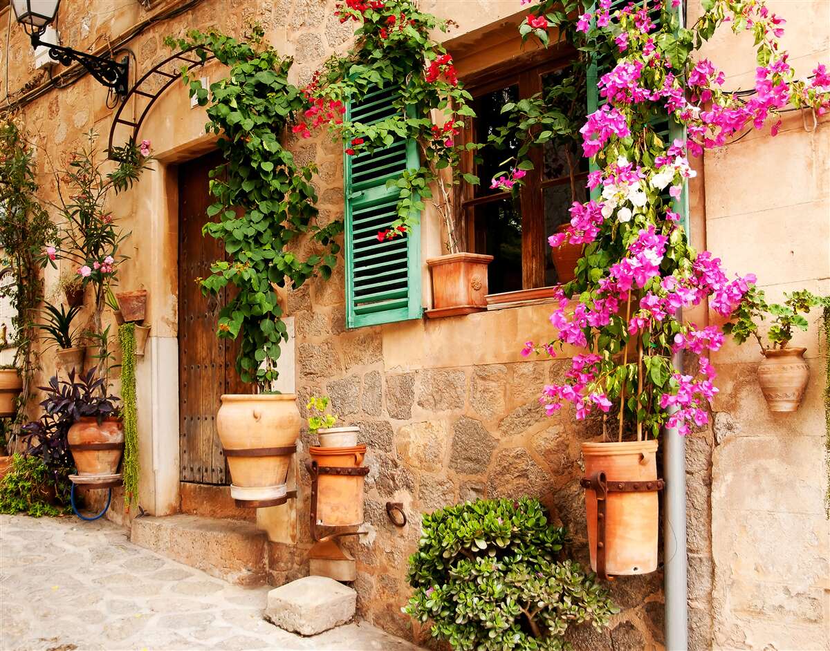 Фотошпалери рослини в контейнерах на старовинній бруківці