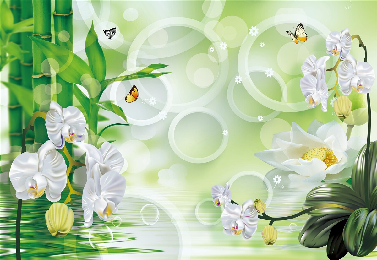 Фотошпалери зелений бамбук і квіти відбиваються у воді, оточені білими колами