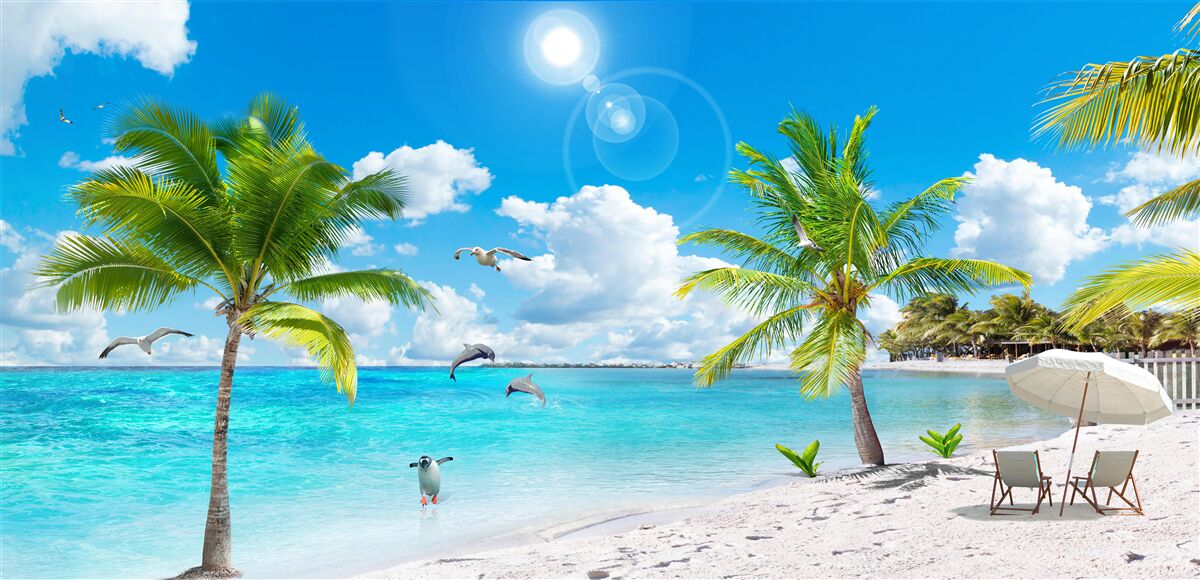 Фотошпалери пляж з піском і пальмами