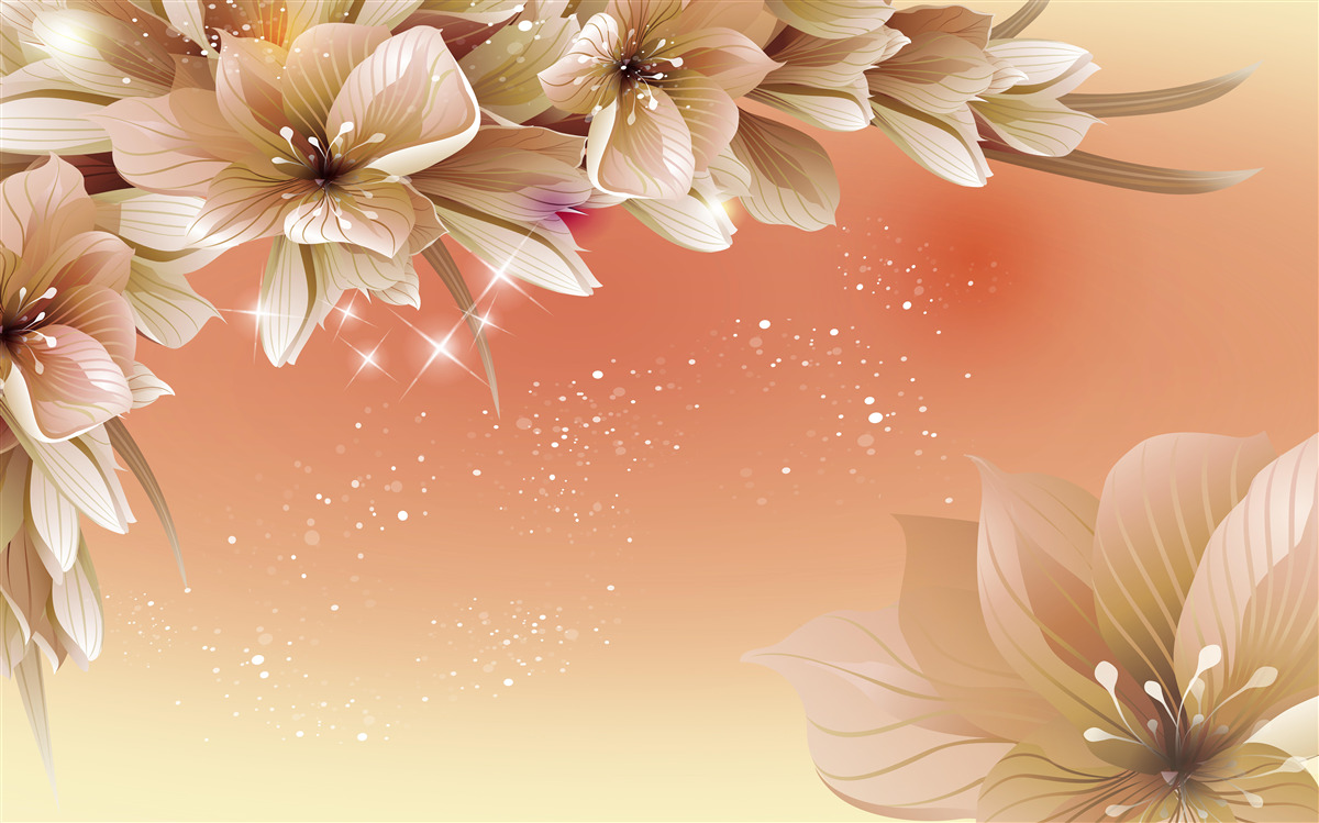 Фотошпалери білі квіти, що розпускаються на гілці на тлі заходу сонця