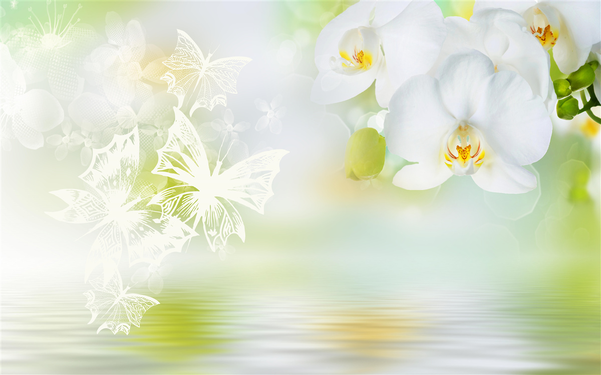 Фотошпалери Білосніжні орхідеї віддзеркалюються у воді