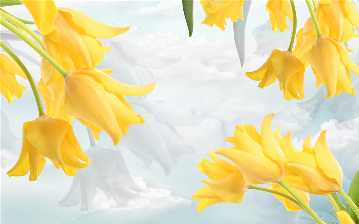 Фотошпалери Жовті тюльпани на тлі блакитного неба