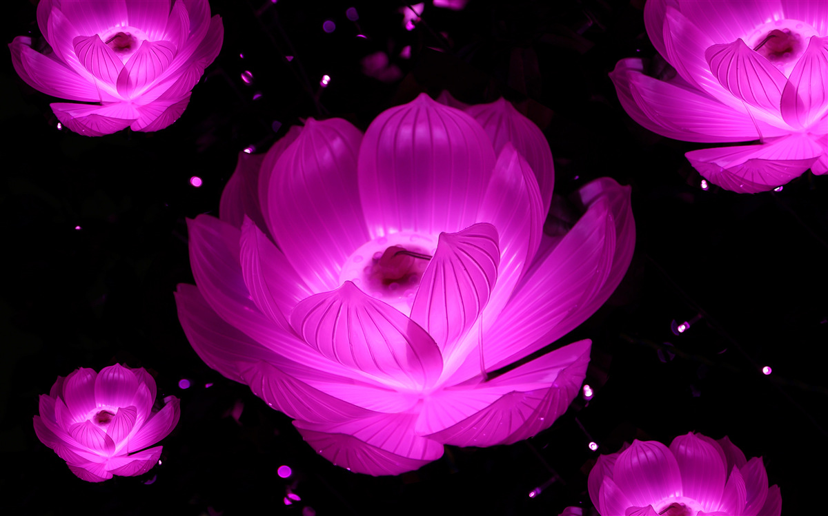 Фотошпалери фіолетові квіти в неоновому світлі