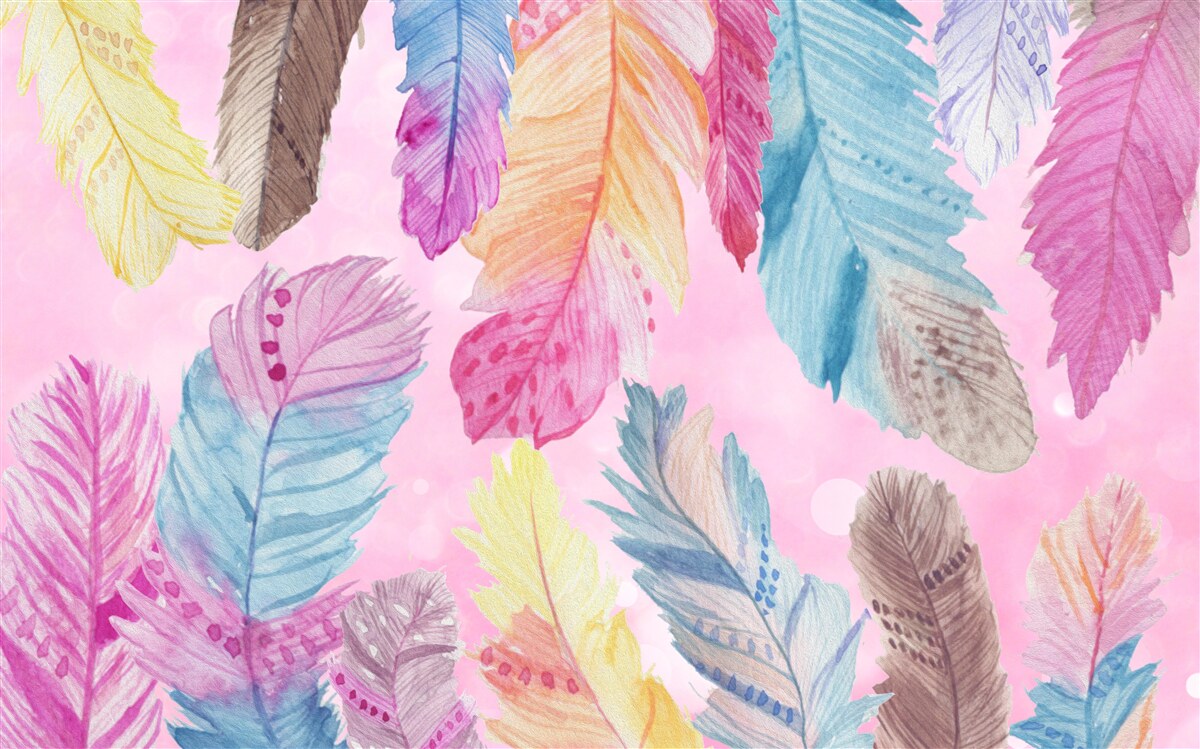 Фотошпалери пір'я з красивими різними тонами