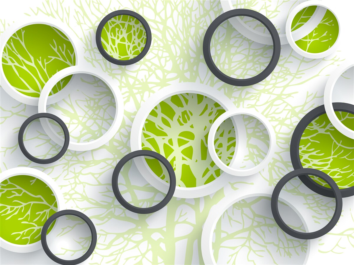 Фотошпалери кола лінзи відображають зелень листя дерев