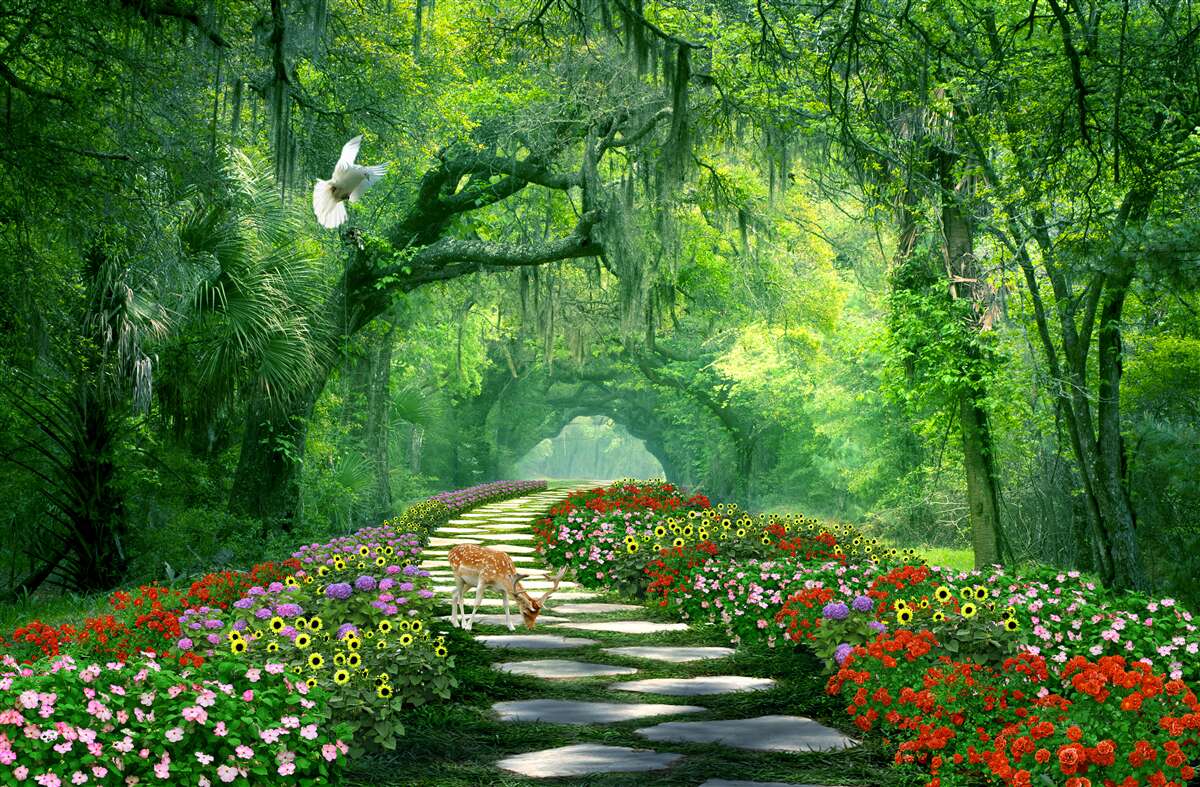 Фотошпалери барвиста тропічна стежка, всипана квітами через ліс