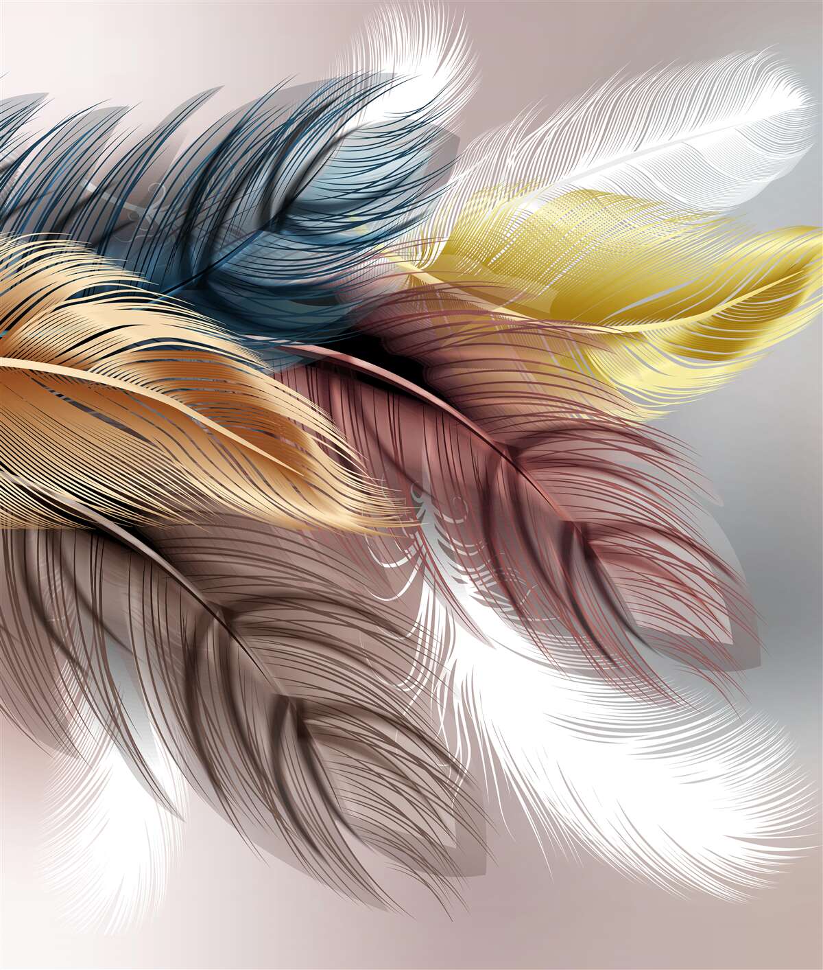 Фотошпалери яскраве оперення птахів