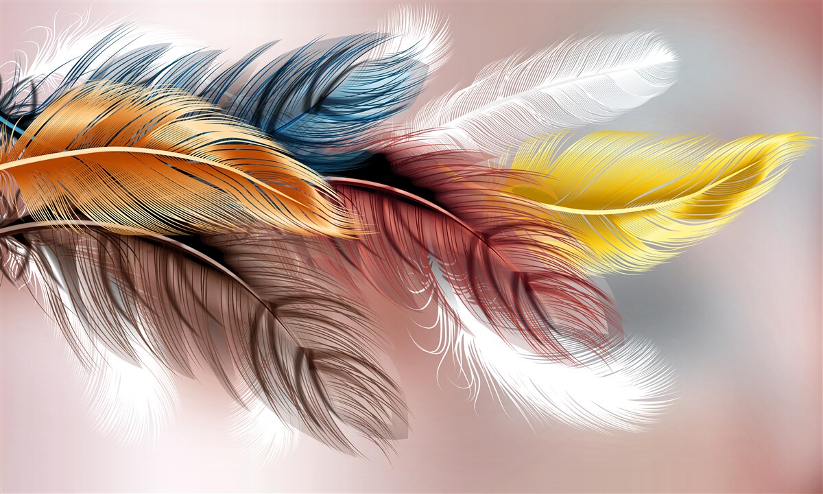 Фотошпалери оперення різних кольорів