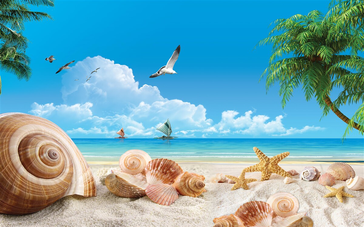 Фотошпалери мушлі на березі моря