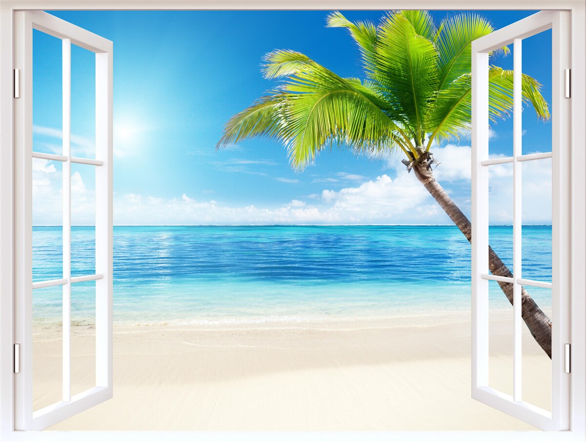 Фотошпалери За вікном екзотична тропічна насолода