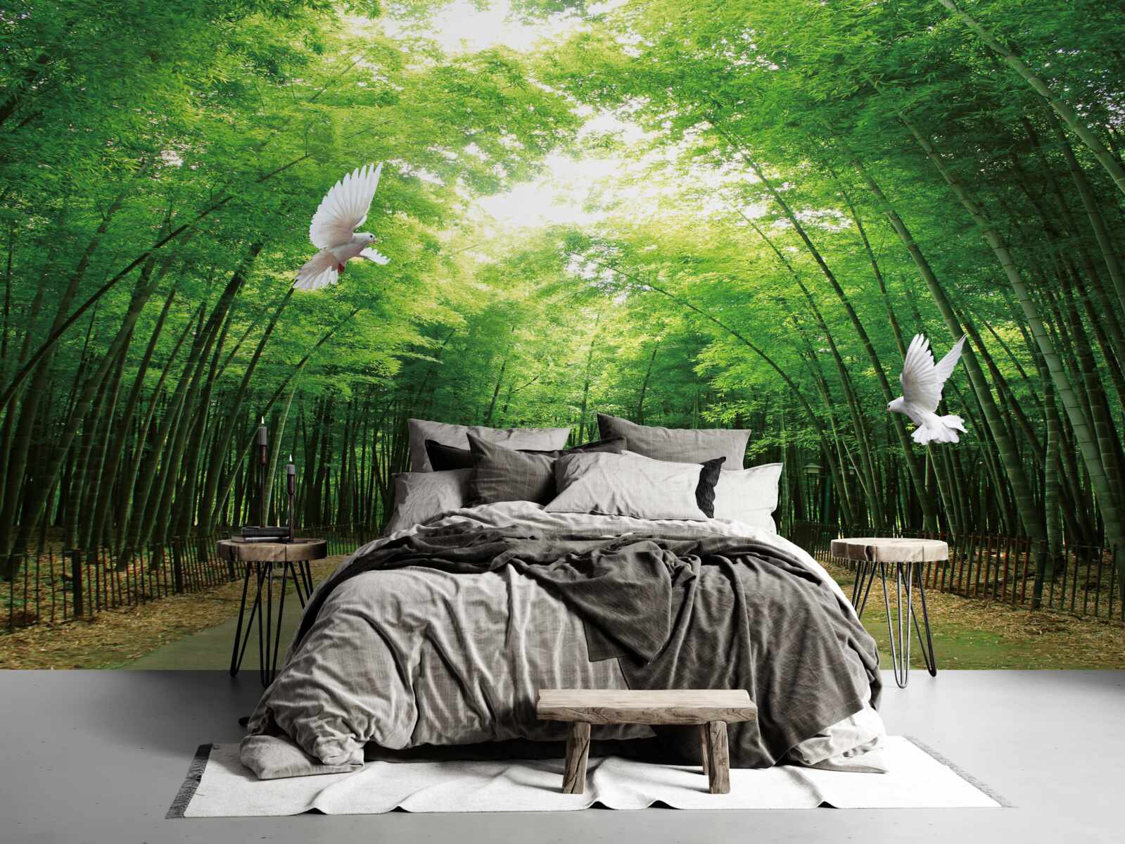 Фотошпалери зайти в ботанічний сад, озеленений і населений голубами