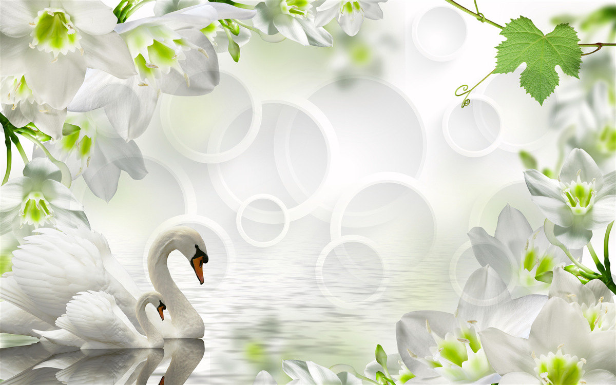 Фотошпалери білі квіти на озері серед лебедів