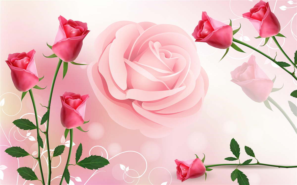 Фотошпалери набір рожевих бутонів троянд