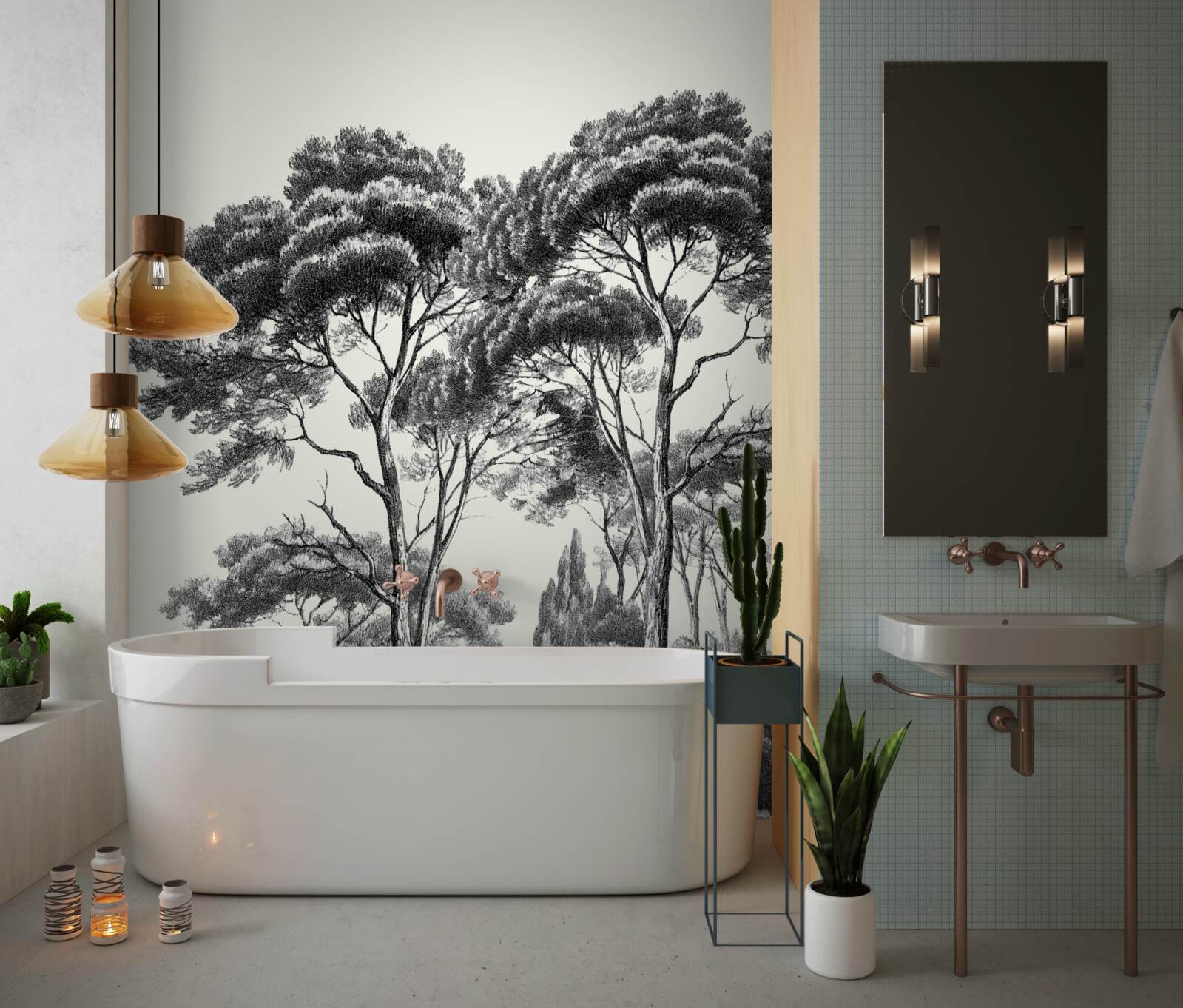 Фотошпалери сосни з Італії в чорно-білих тонах