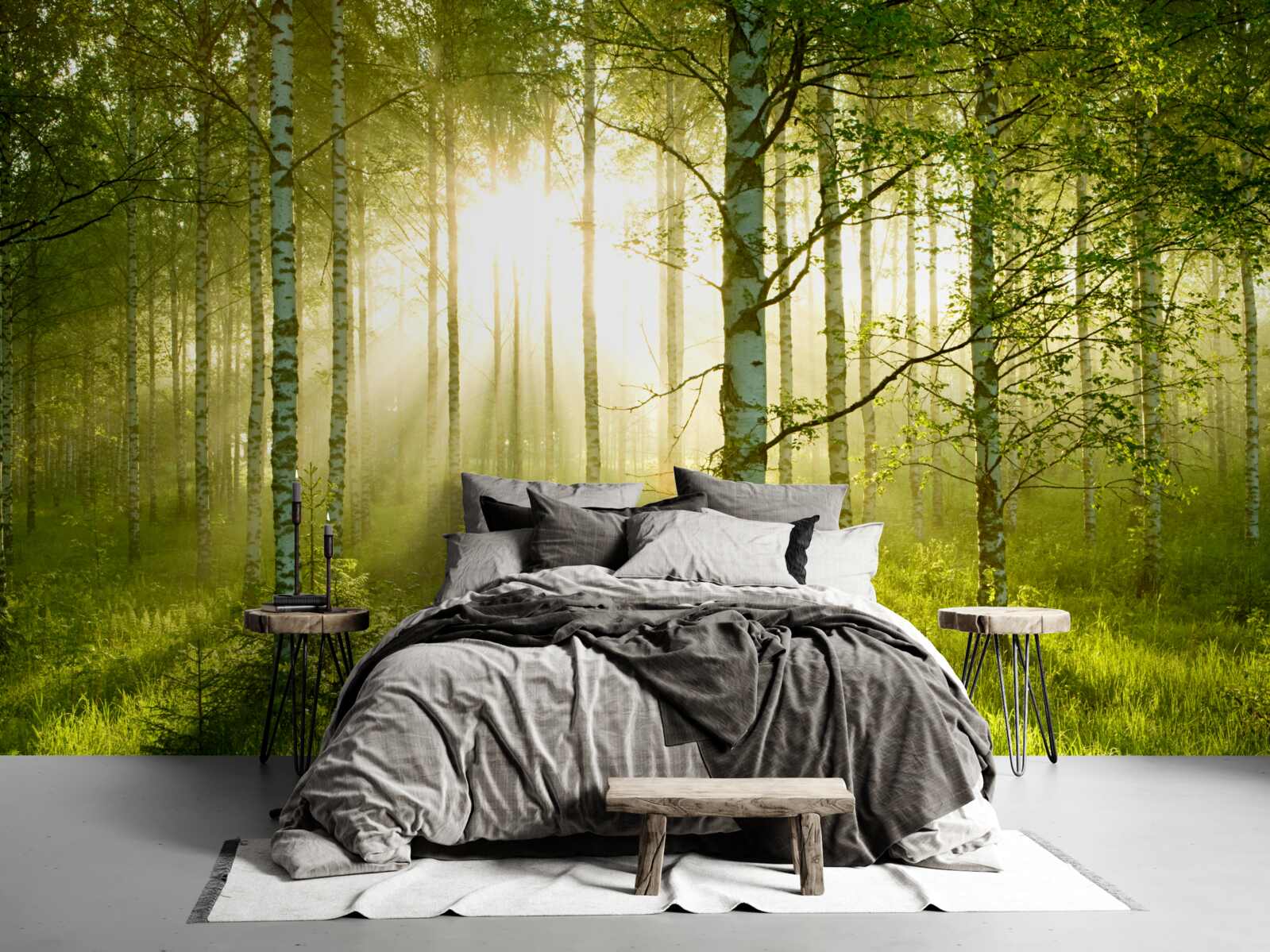 Фотошпалери Світанок у березовому лісі