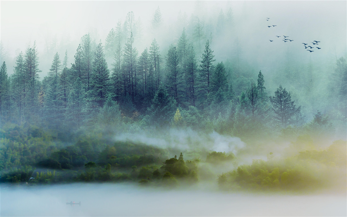 Фотошпалери заворожуюча тиша в туманному лісі