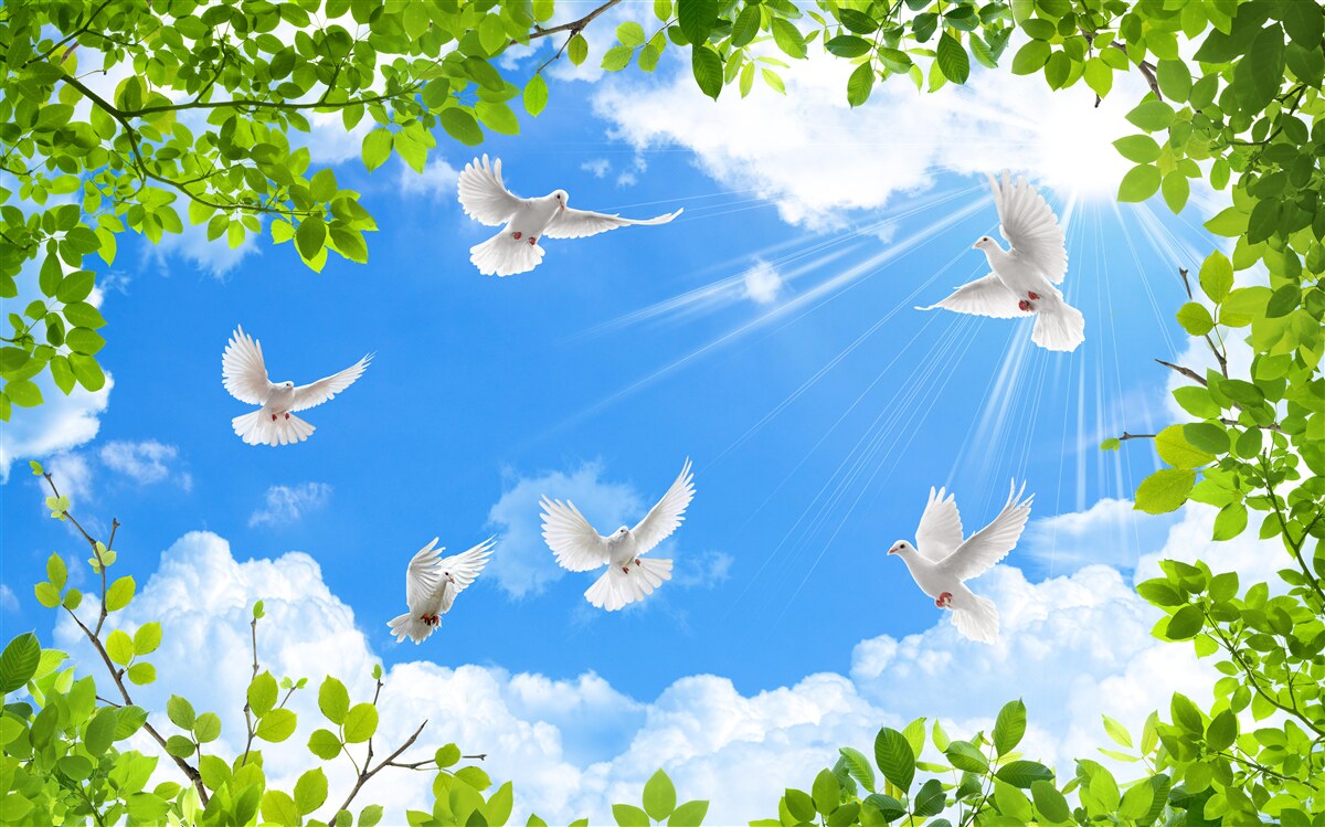 Фотошпалери голуби в зеленій оправі ковзають у блакитному небі