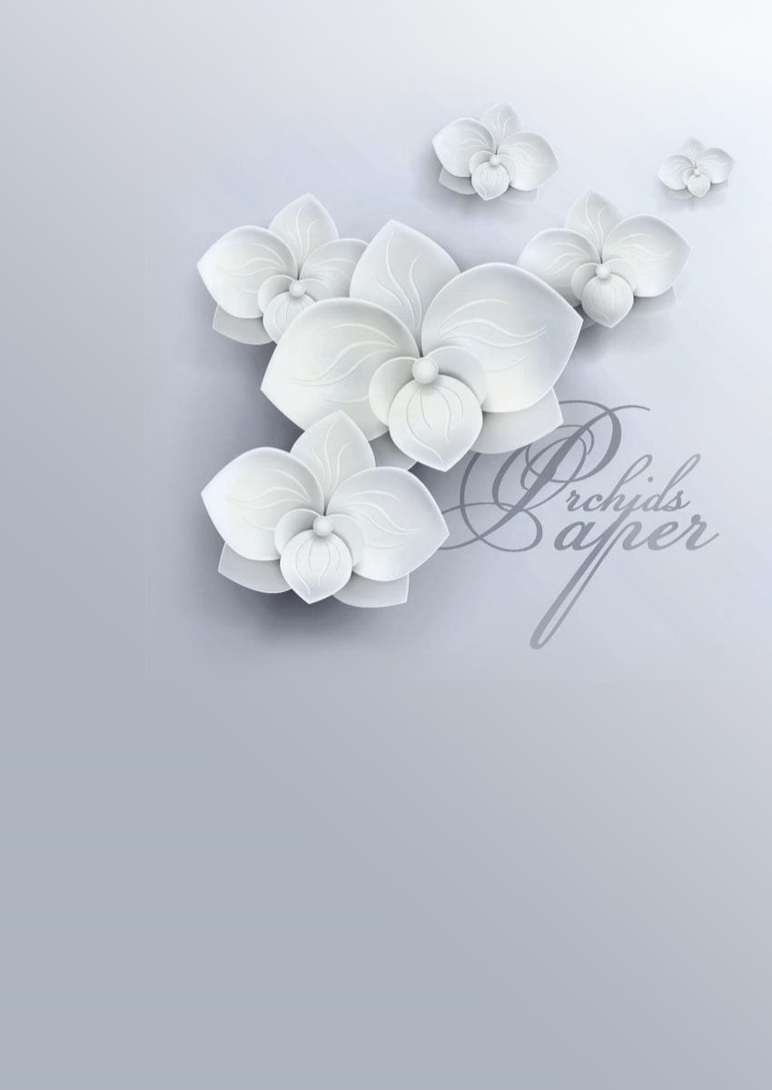 Фотошпалери сірий фон, прикрашений білими орхідеями