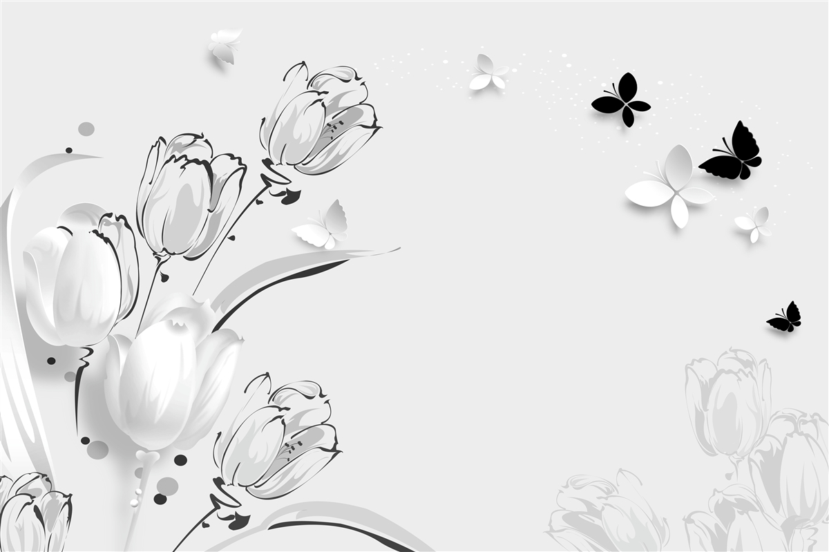 Фотошпалери Білосніжні тюльпани та метелики