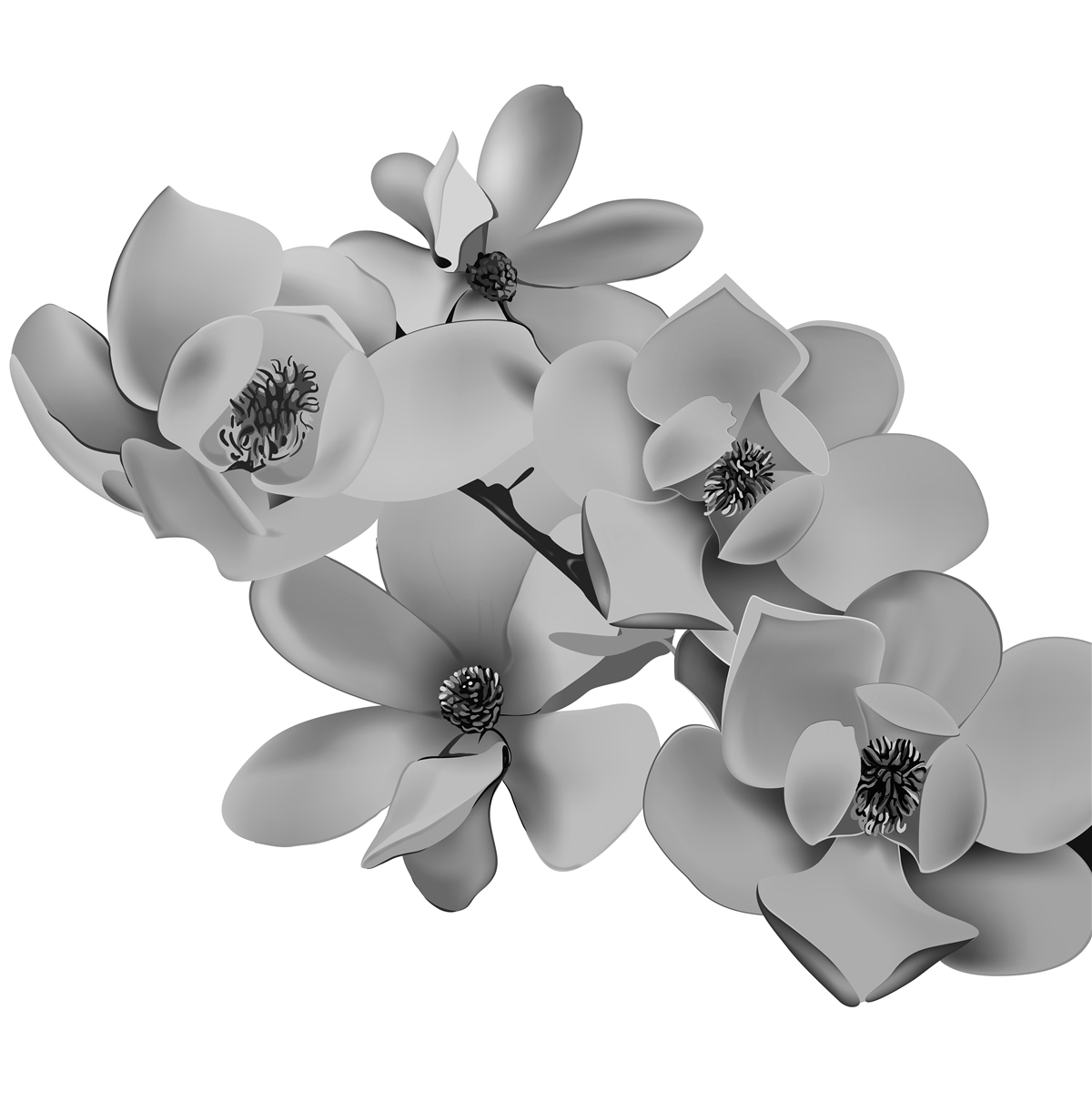 Фотошпалери червоні квіти на чистому білому тлі