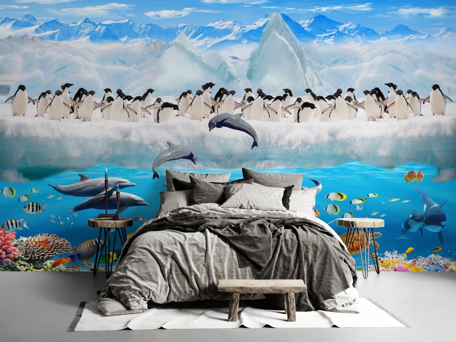 Фотошпалери дельфіни та пінгвіни живуть у коралових рифах