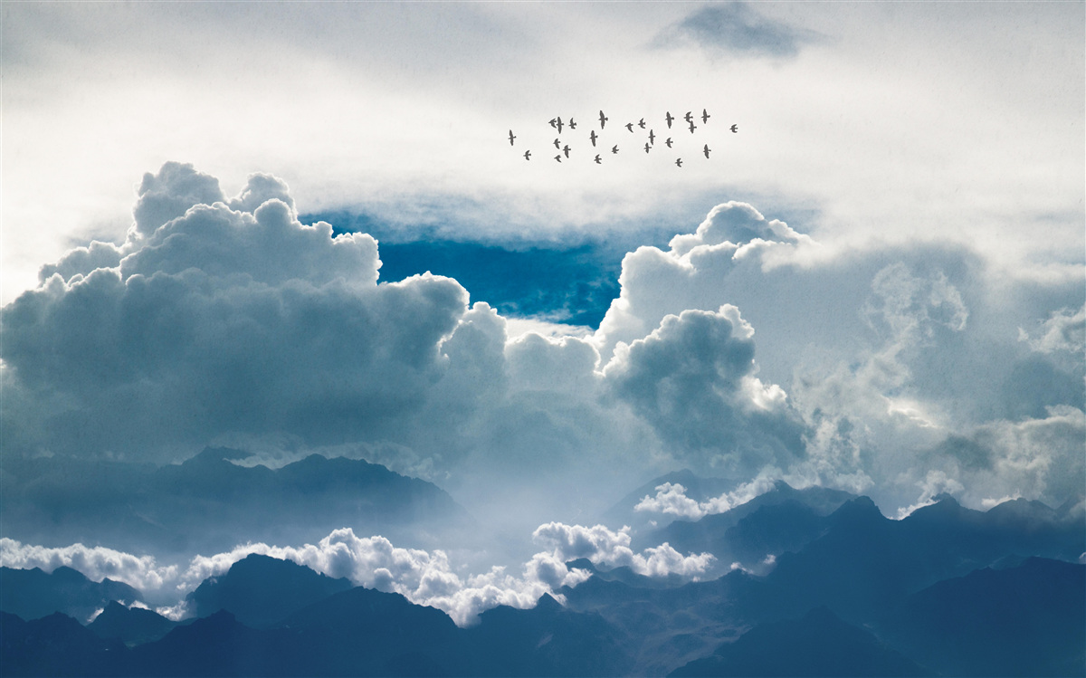 Фотошпалери група птахів над густими хмарами