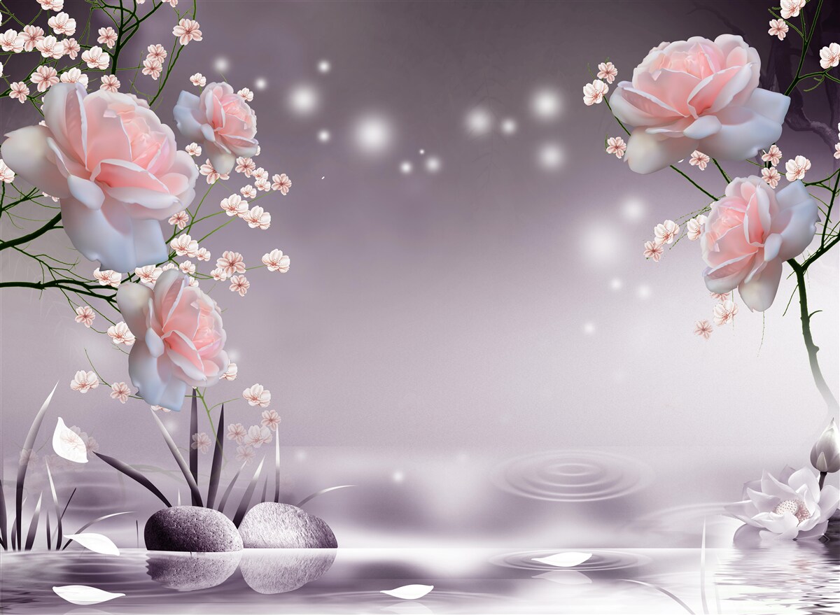 Фотошпалери квіти, що розкриваються над поверхнею води