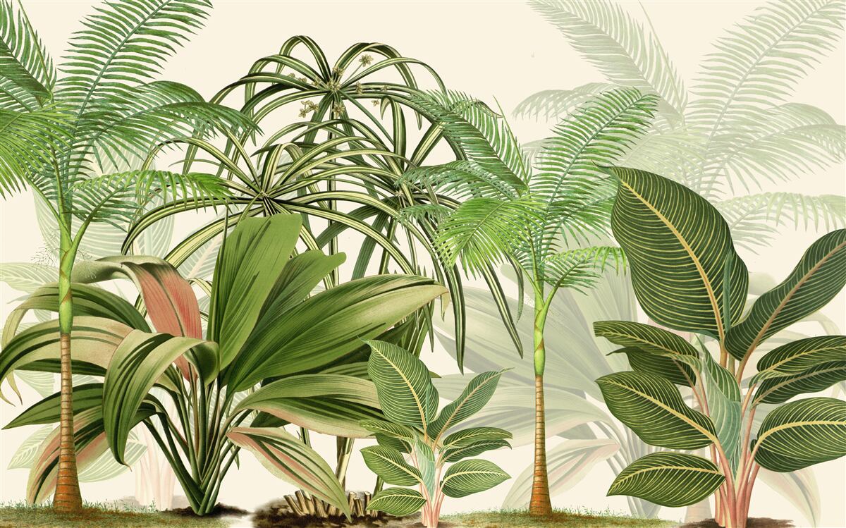 Фотошпалери тропічні дерева, в тому числі пальми