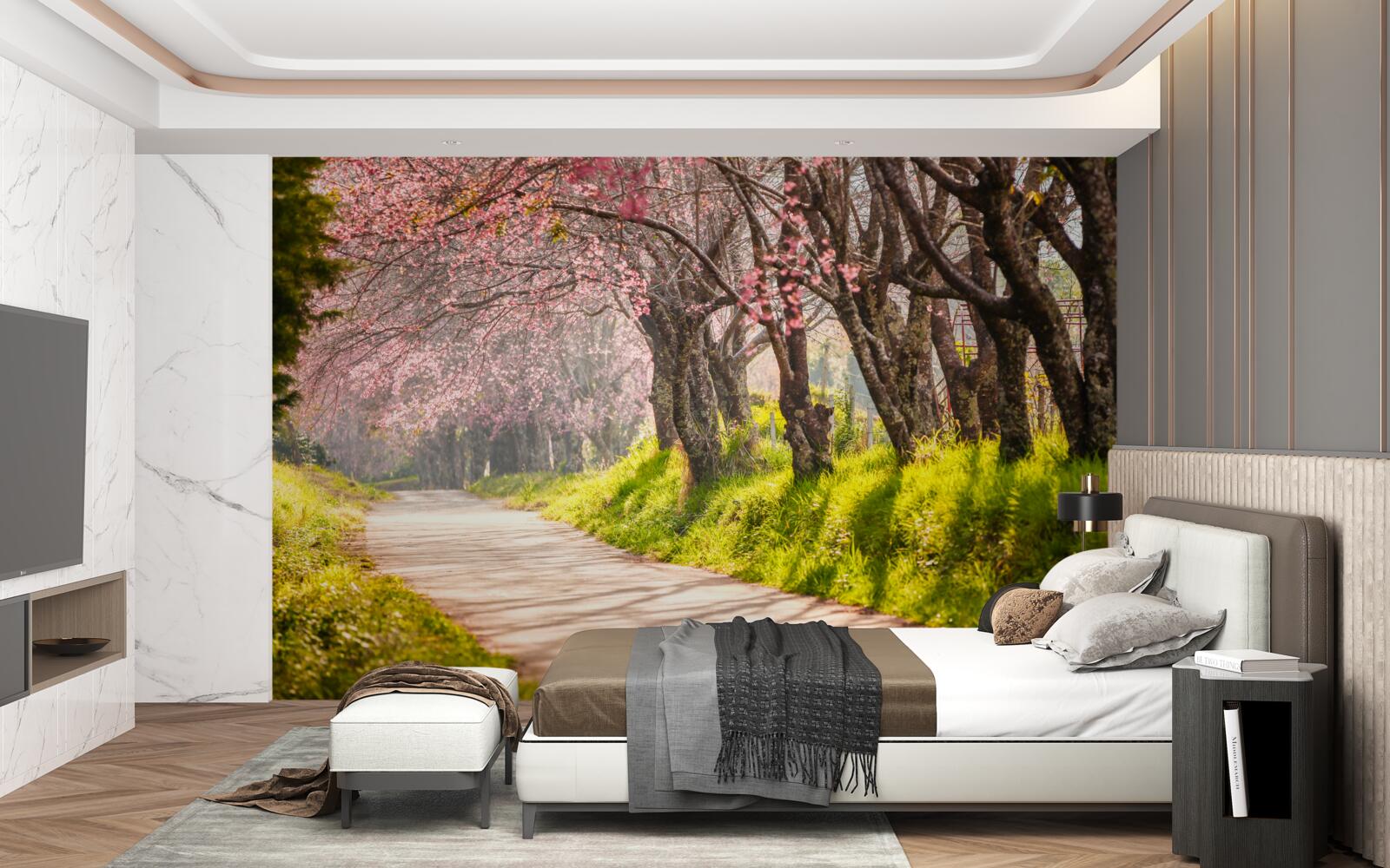 Фотошпалери квітучі дерева вздовж тихого шосе