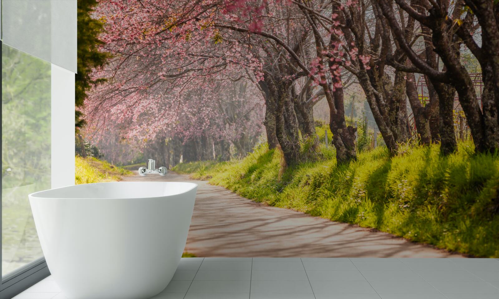 Фотошпалери квітучі дерева вздовж тихого шосе