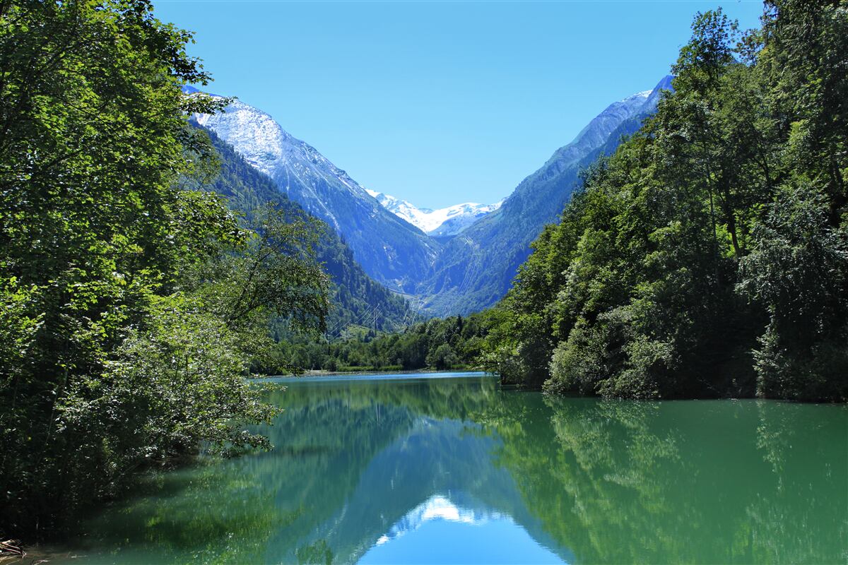 Фотошпалери тиха водойма, захована в густому лісі на схилах гір