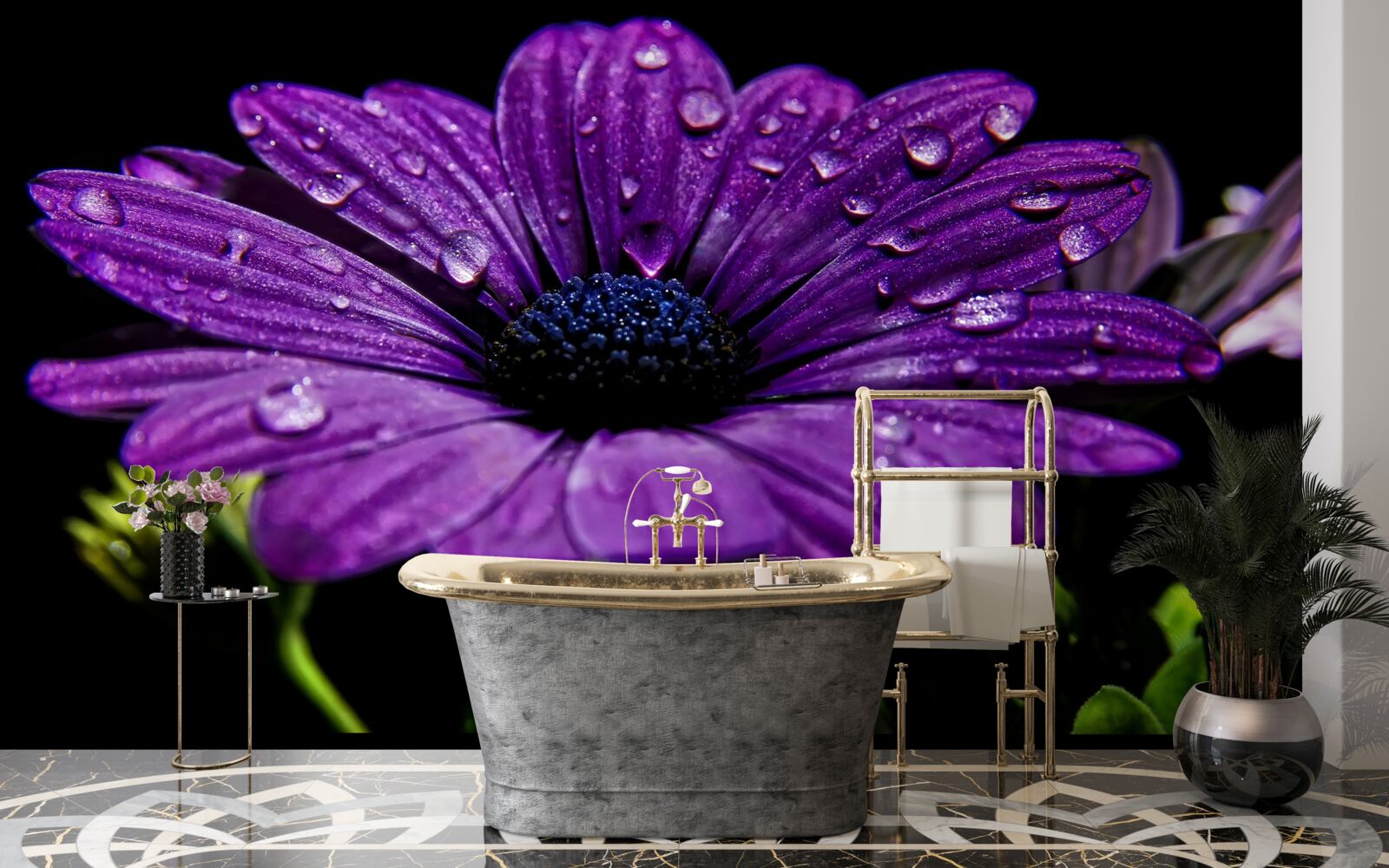 Фотошпалери краплі води на фіолетовій квітці гербери