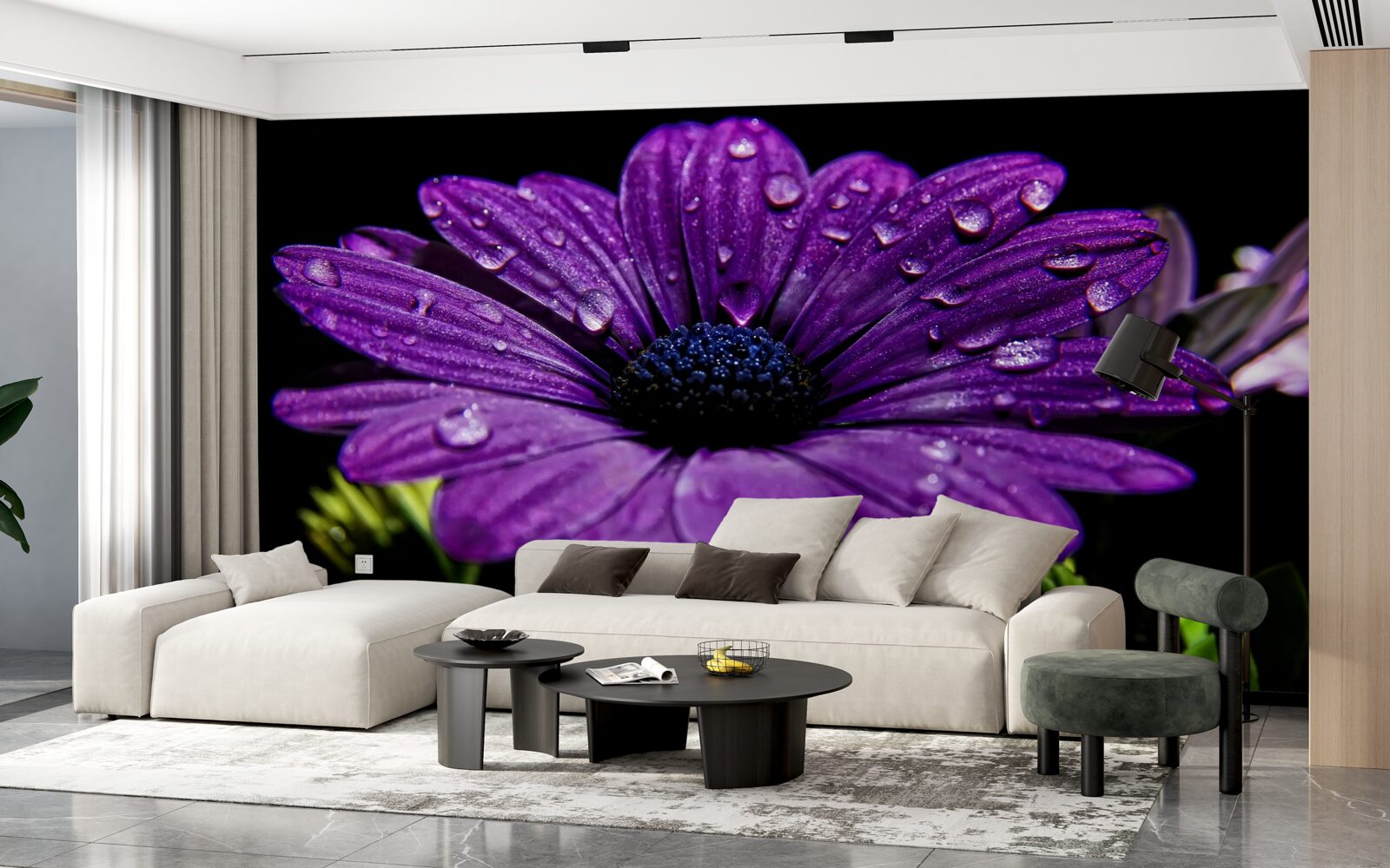 Фотошпалери краплі води на фіолетовій квітці гербери