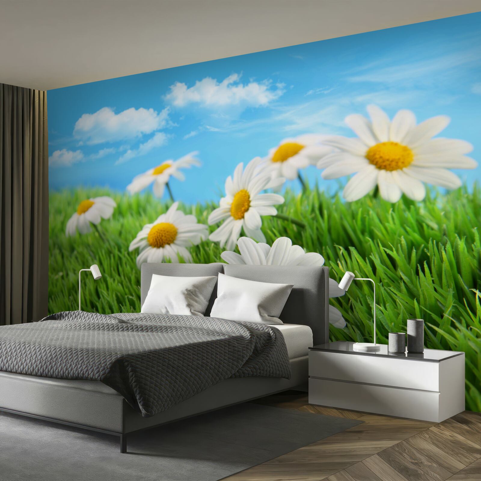 Фотошпалери Білосніжні лугові ромашки