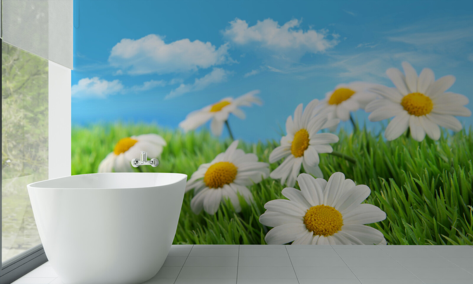 Фотошпалери Білосніжні лугові ромашки