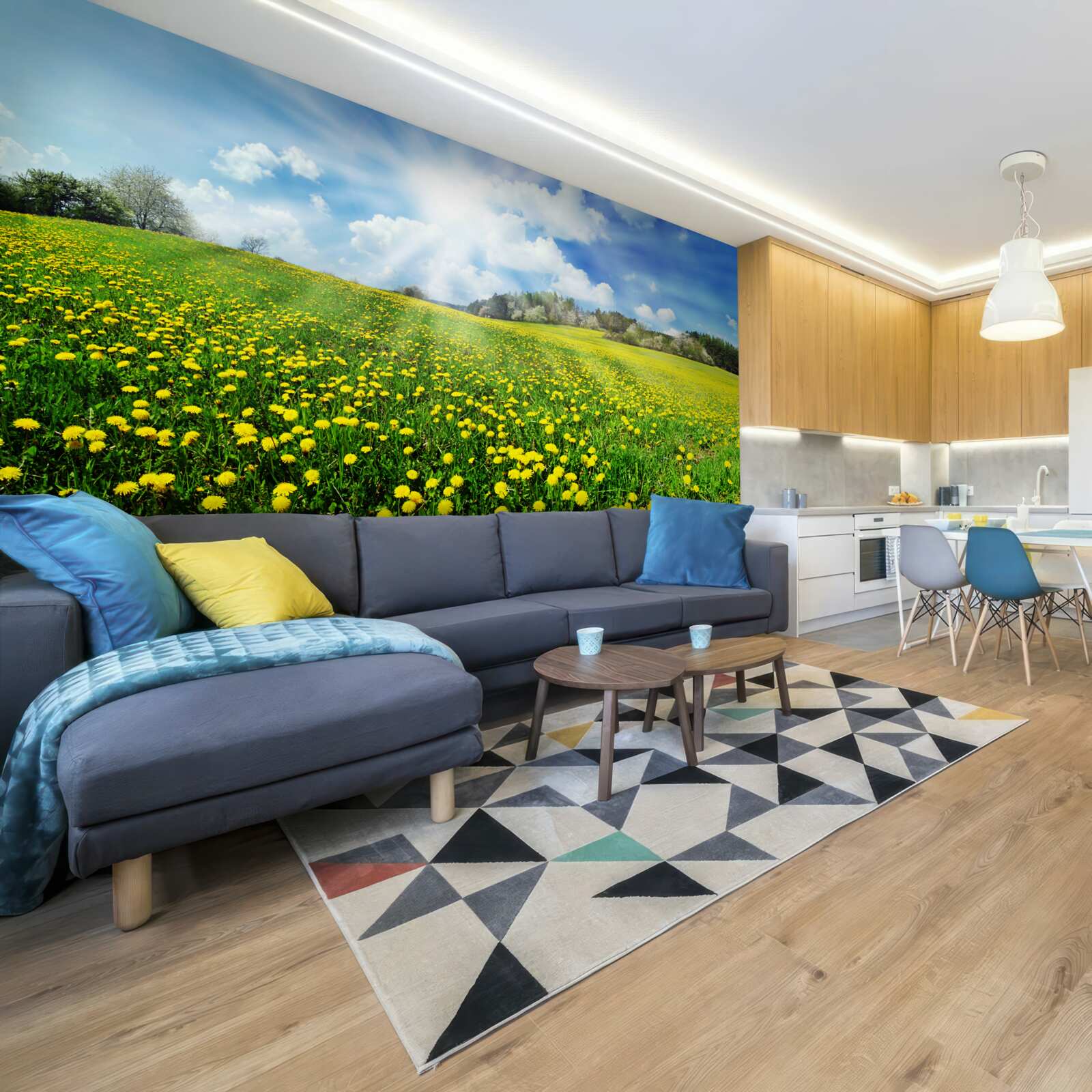 Фотошпалери простір кульбаби