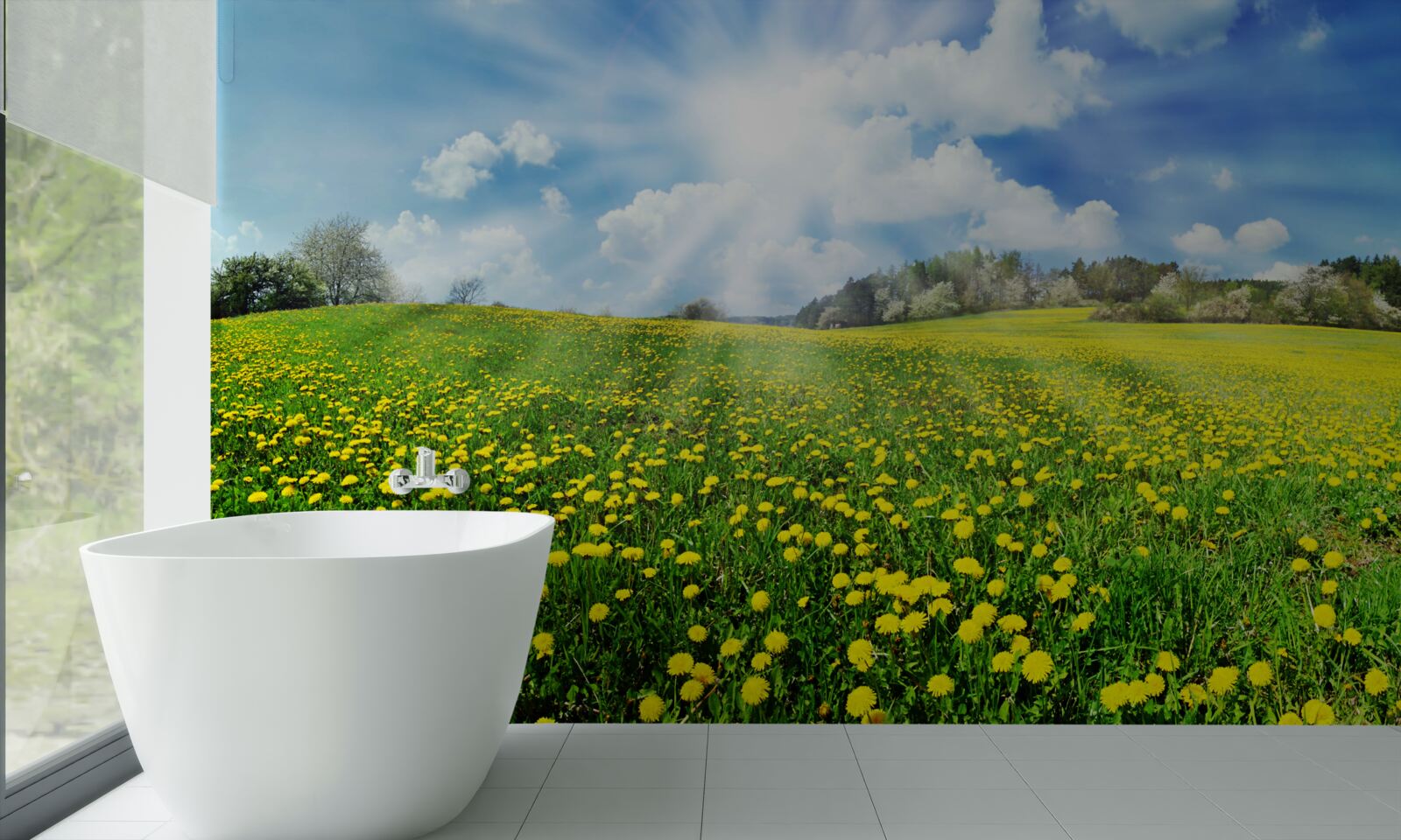 Фотошпалери простір кульбаби