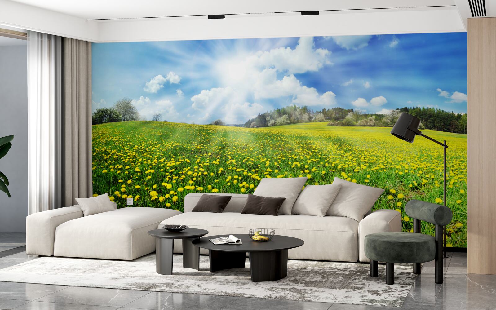 Фотошпалери простір кульбаби