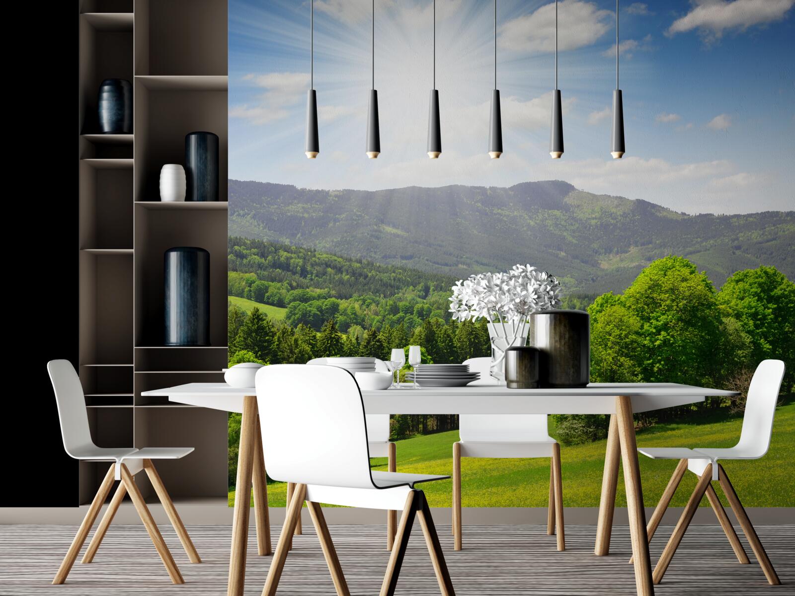 Фотошпалери сонце в найвищій точці над зеленим лугом