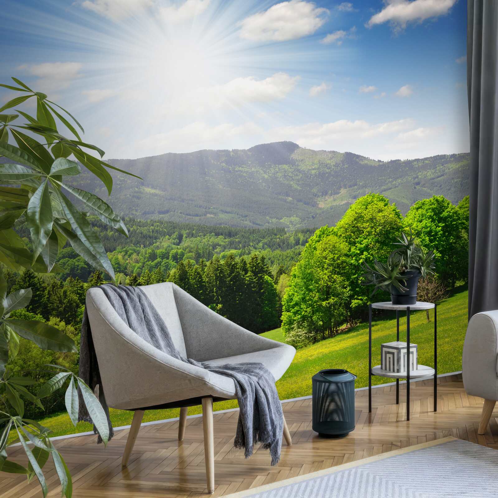 Фотошпалери сонце в найвищій точці над зеленим лугом