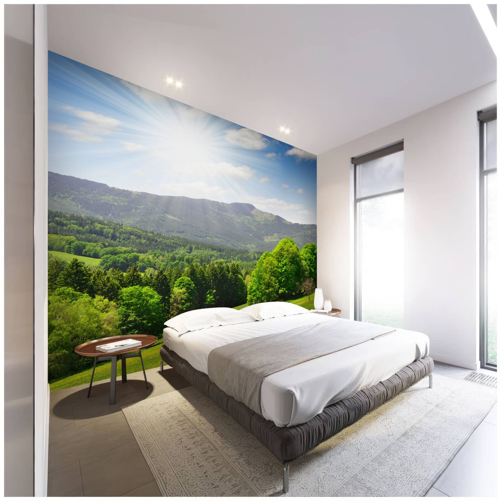 Фотошпалери сонце в найвищій точці над зеленим лугом