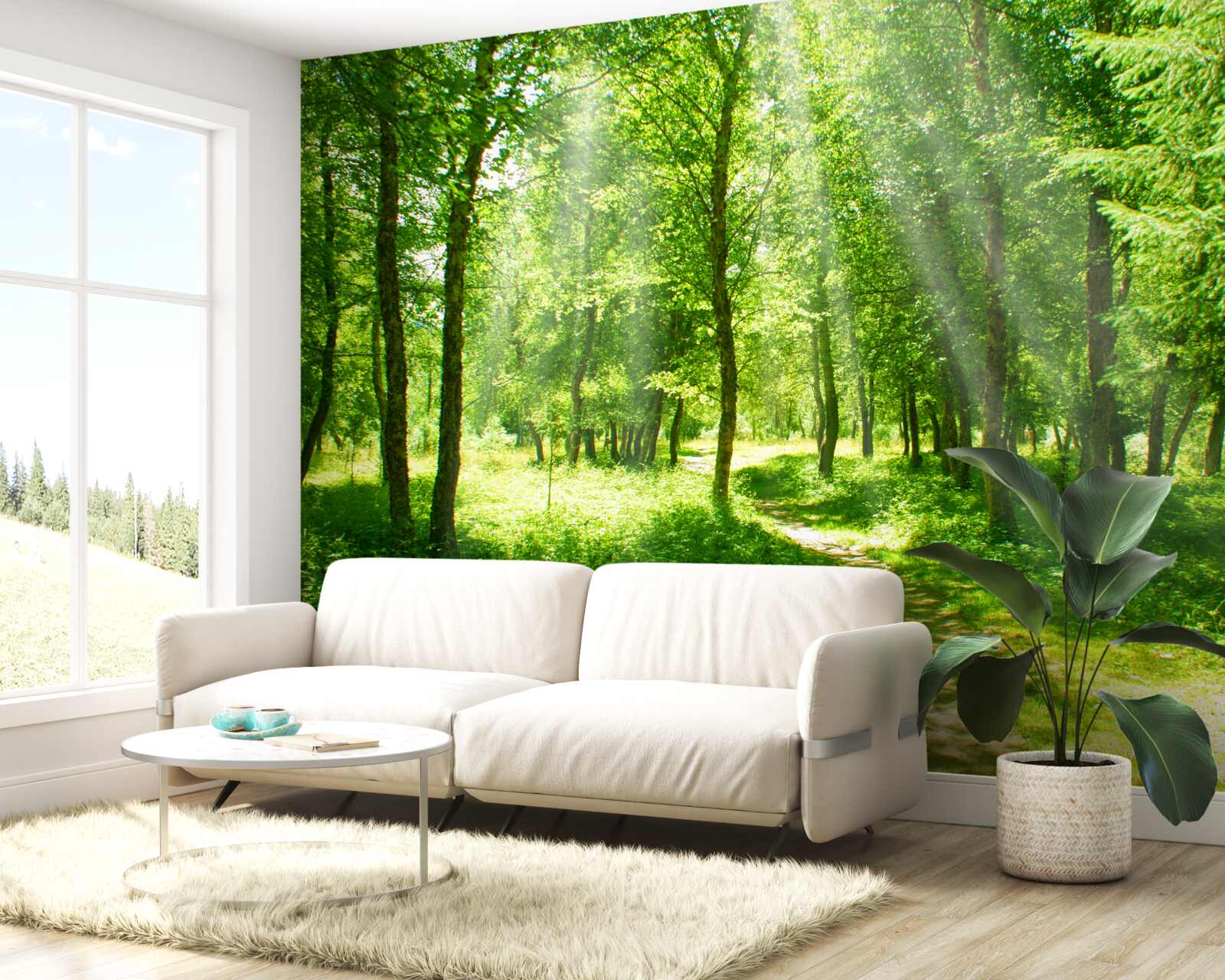 Фотошпалери сонячні промені яскраво світять крізь крони лісових дерев