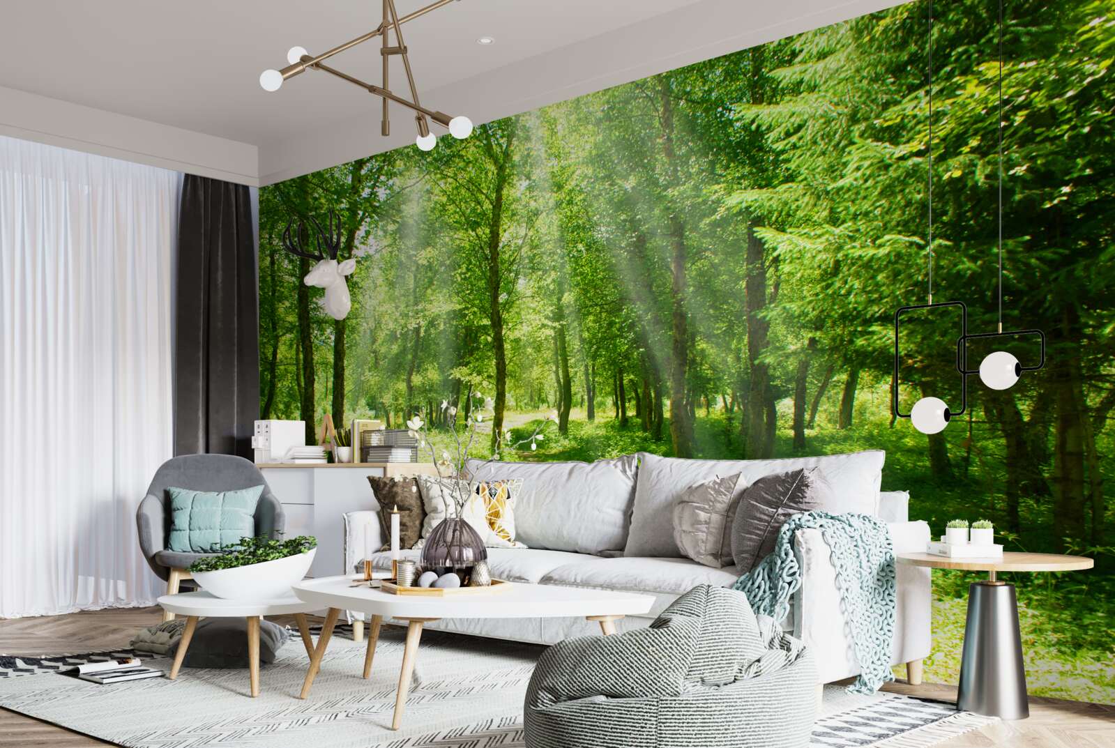 Фотошпалери сонячні промені яскраво світять крізь крони лісових дерев