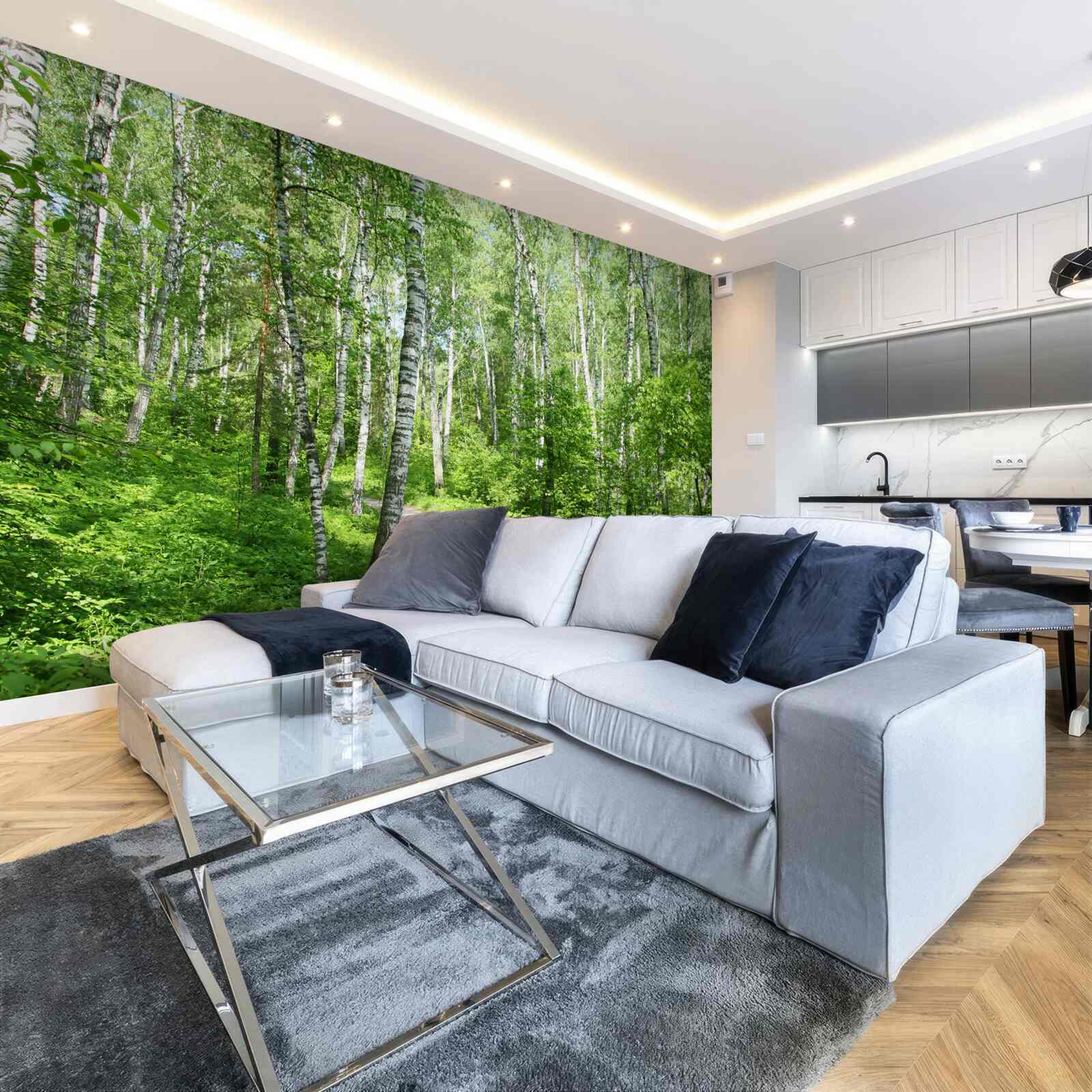 Фотошпалери Стежка через березовий ліс у літній сезон