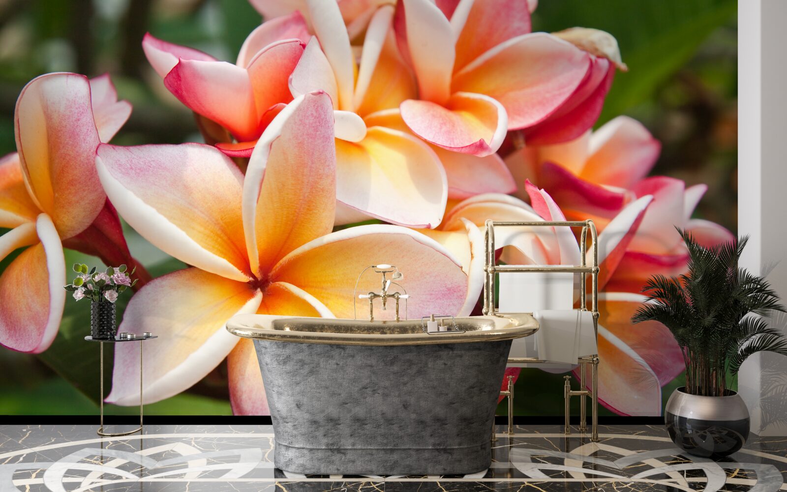 Фотошпалери франжипані з привабливими квітами