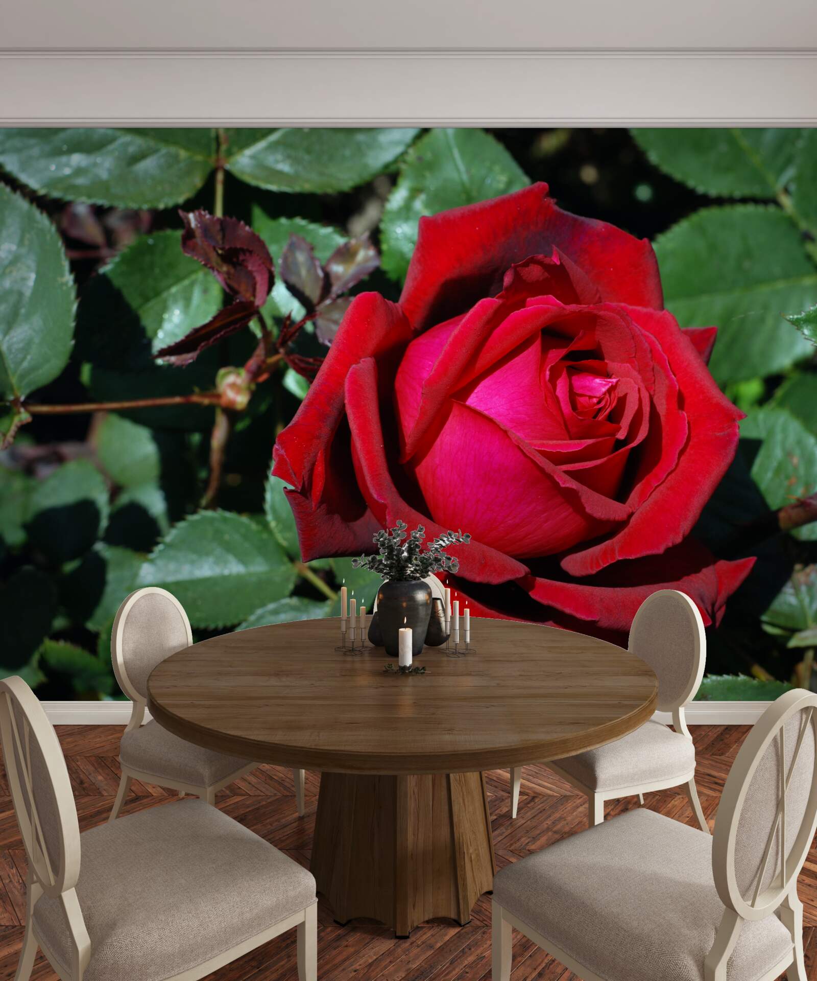 Фотошпалери в саду зацвіла червона троянда