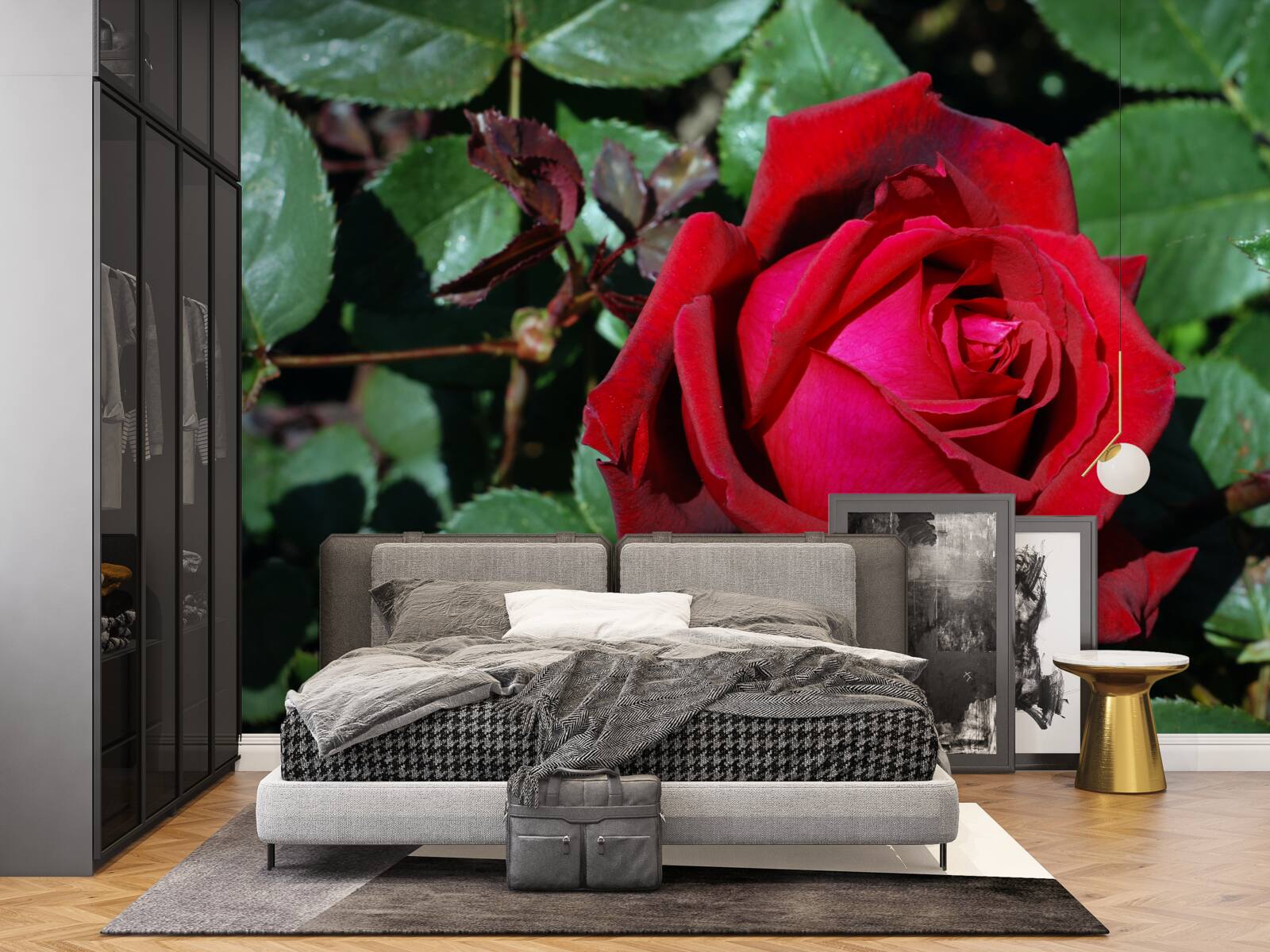 Фотошпалери в саду зацвіла червона троянда