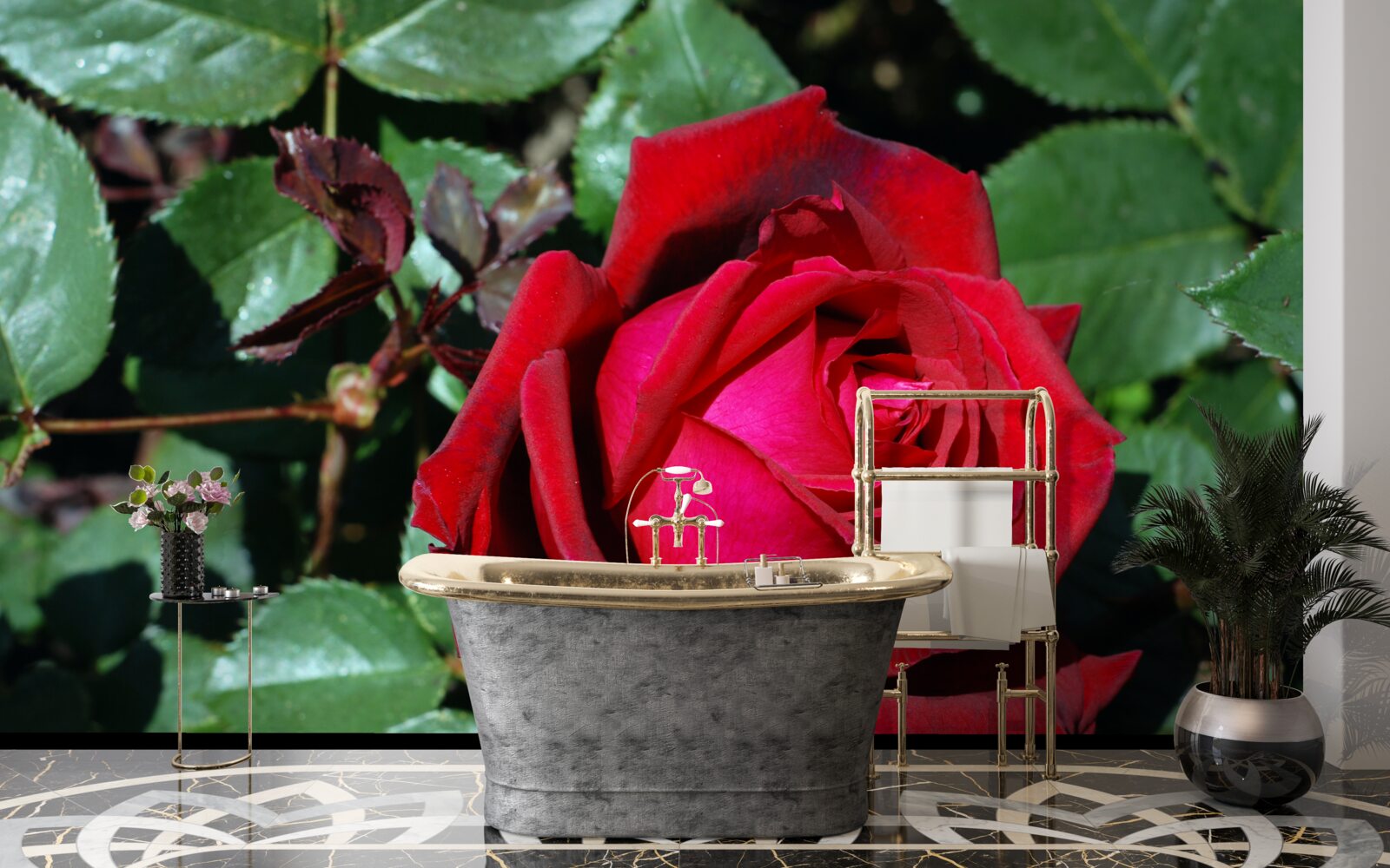 Фотошпалери в саду зацвіла червона троянда